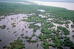 Nationalpark Neusiedlersee-Seewinkel