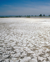 Nationalpark Neusiedler See-Seewinkel